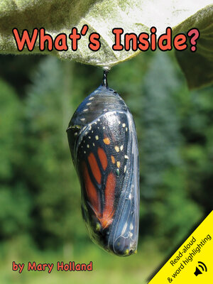 cover image of What's Inside?